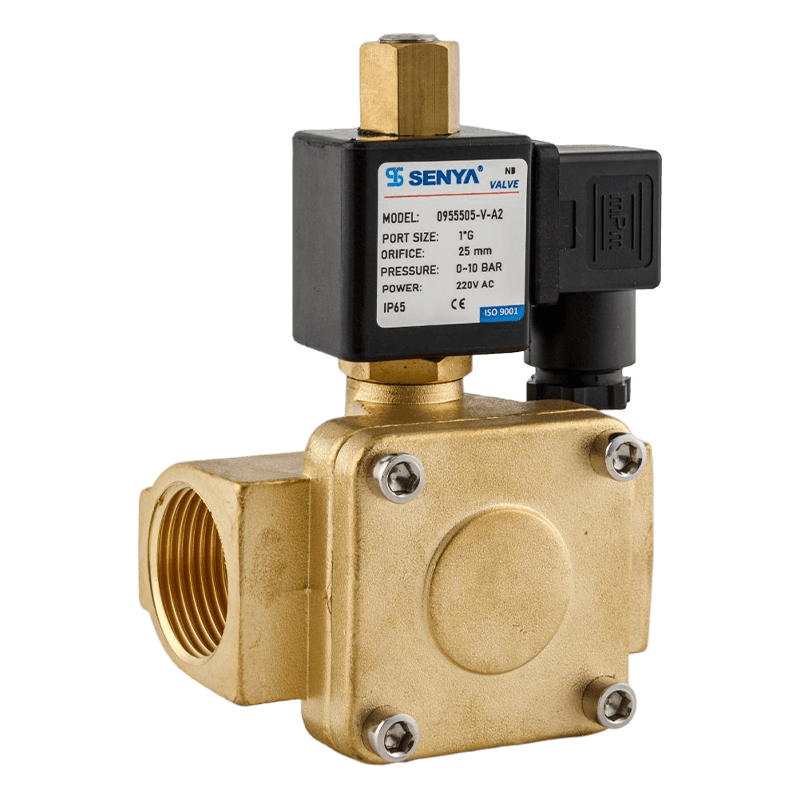 2/2 ways brass ‘0955 series solenoid valve